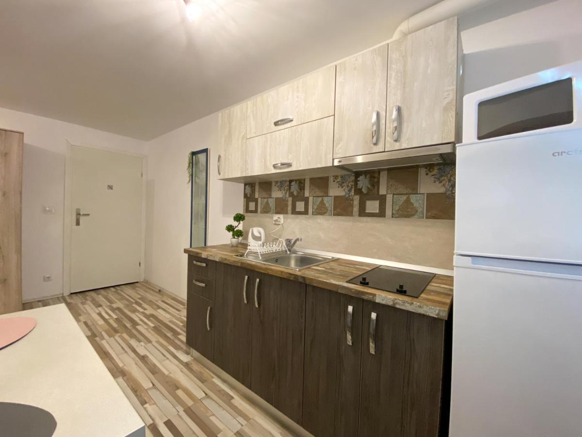 Blue Dream Apartment Timisoara Esterno foto