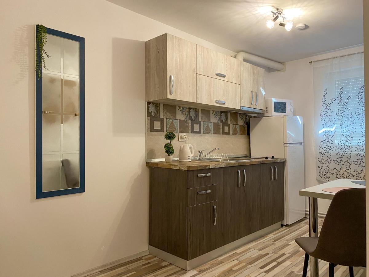 Blue Dream Apartment Timisoara Esterno foto